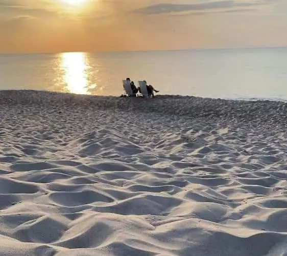 Almar * コウチェボ