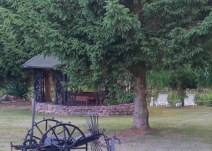 Almar * コウチェボ